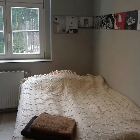 Guest house Rosa Sokolowsko