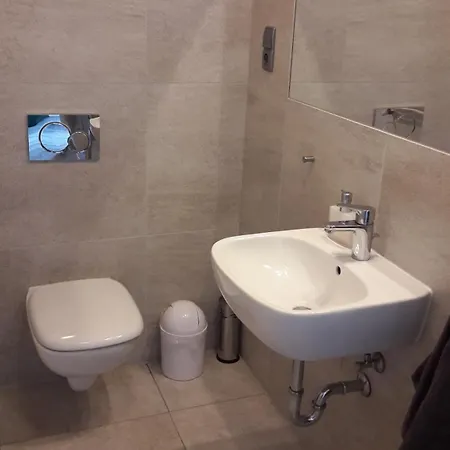 Guest house Rosa Sokolowsko